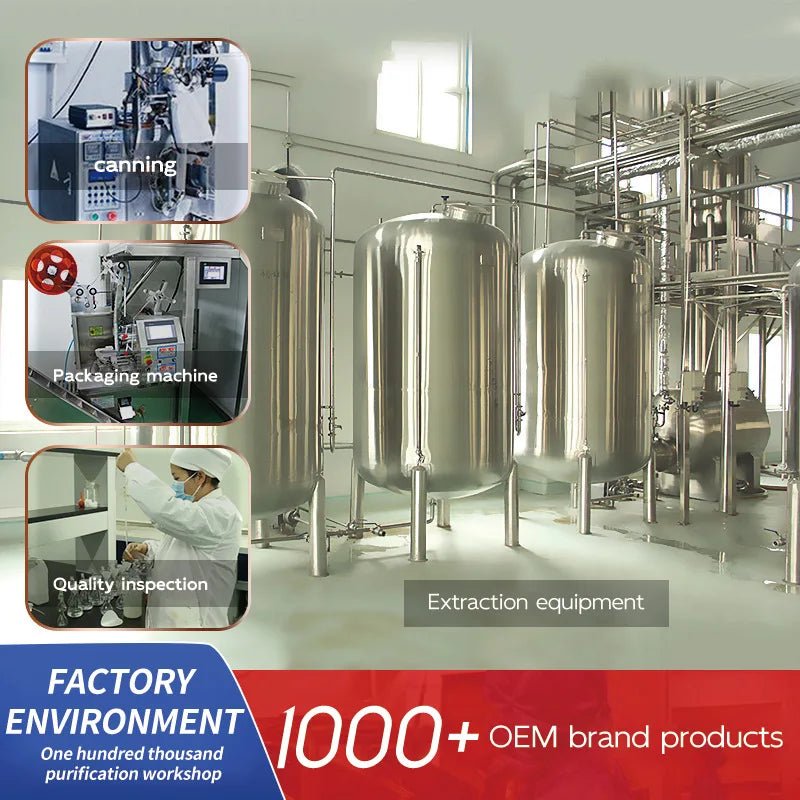 High Quality OEM Vaginal Probiotics Gummy for Women Feminine Health Care Sample Package - Wellness Wave Fitness